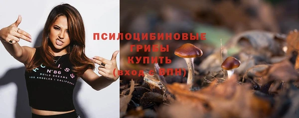 дмт Армянск
