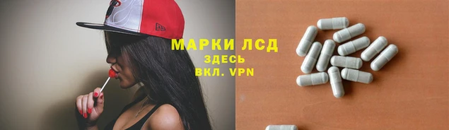 крисы Аркадак