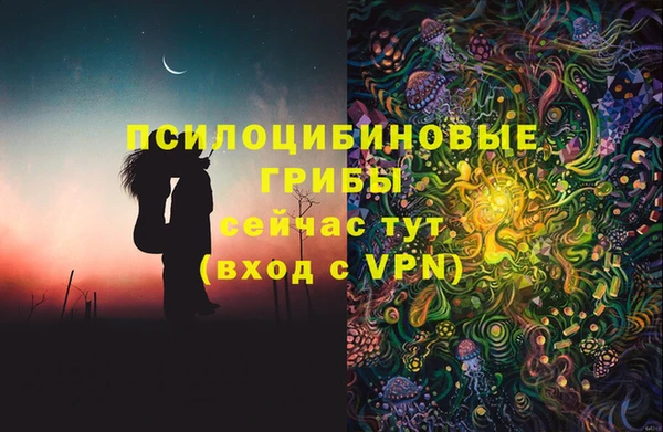 крисы Аркадак